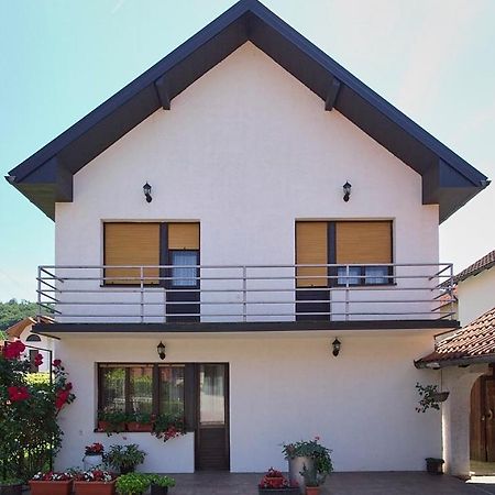 Milica Villa Banja Koviljaca Bagian luar foto