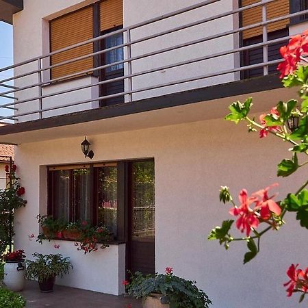 Milica Villa Banja Koviljaca Bagian luar foto