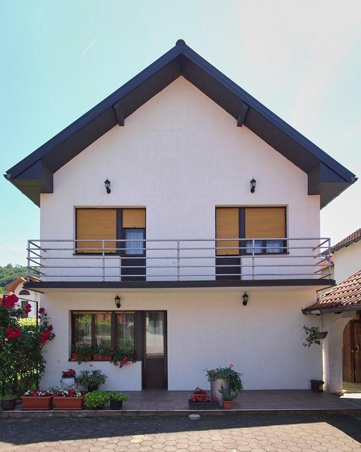 Milica Villa Banja Koviljaca Bagian luar foto
