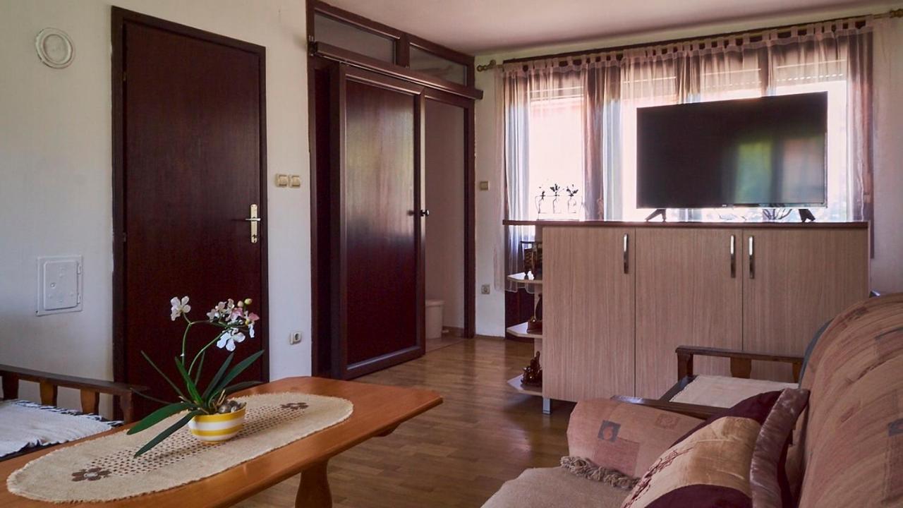 Milica Villa Banja Koviljaca Bagian luar foto