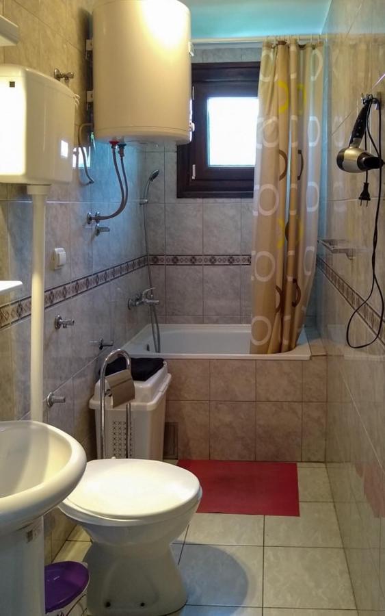Milica Villa Banja Koviljaca Bagian luar foto